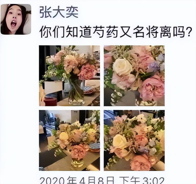 2024年天猫总裁蒋凡背后的董花花，婚姻风波后的互联网记忆